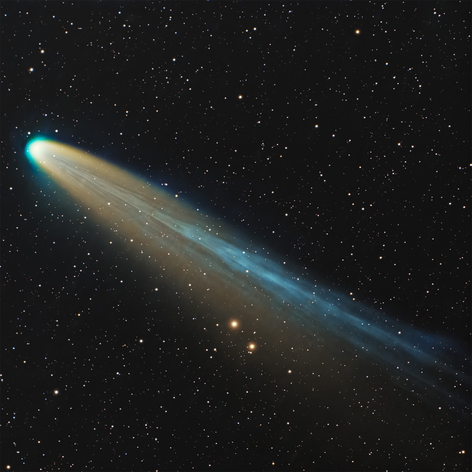 Cometa C/2025 A6 LEMMON